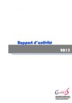Rapport d'activité 2013